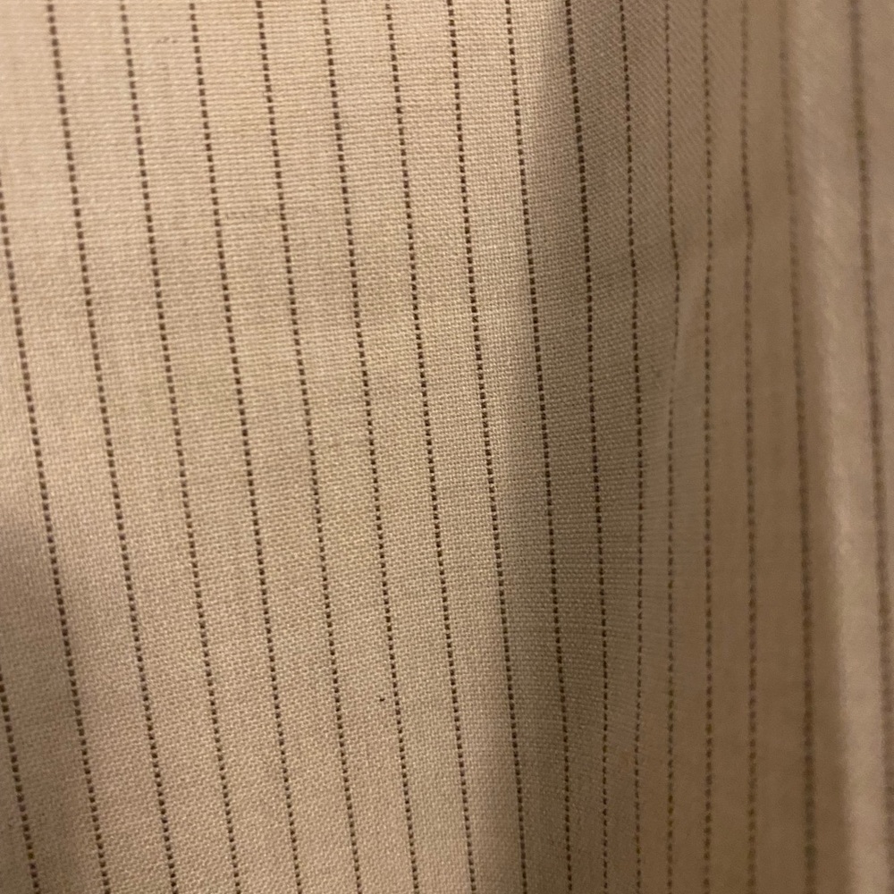 Tan ankle crop pants with black pinstripe